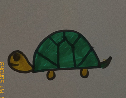 turtle 🐢