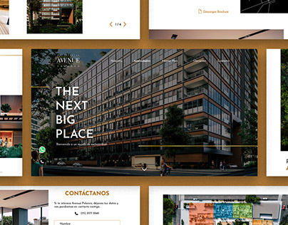 Avenue Polanco | Web & Social Media Design