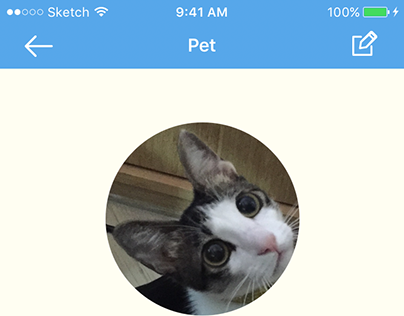 Pets App Design