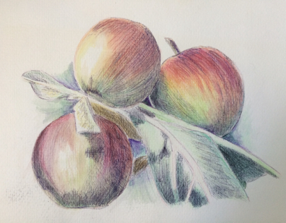 Experimented with coloured pencils