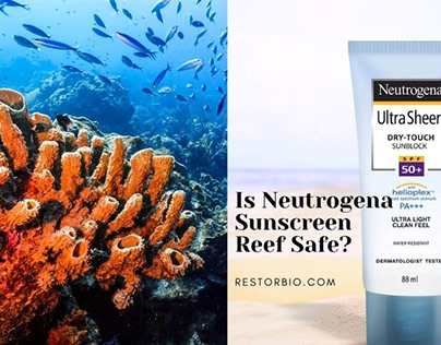 Is Neutrogena Sunscreen Reef Safe? Things to Know in
