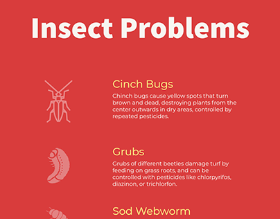 Lawn Care - Insect Problems - Infographic