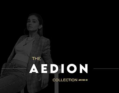 Project thumbnail - THE AEDION COLLECTION