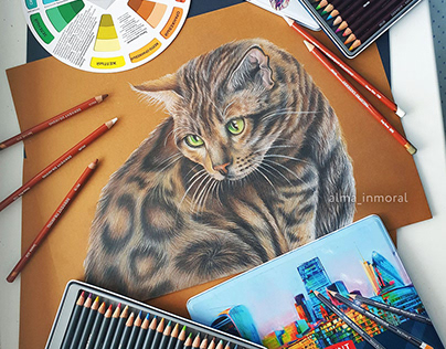 Cat // Prismacolor Pencil's illustration + Video