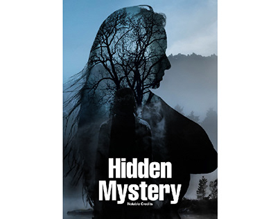 Hidn Mystery Poster Design