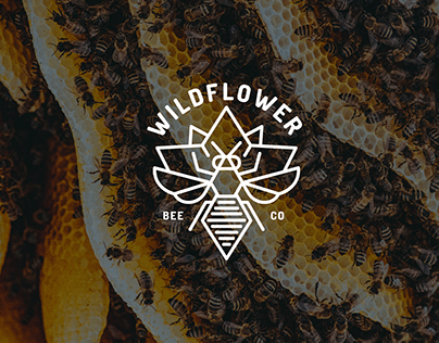 Wildflower Bee Co: Logo Design, Branding