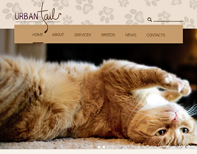 Website Mock-up: Urban Tails Pet Resort