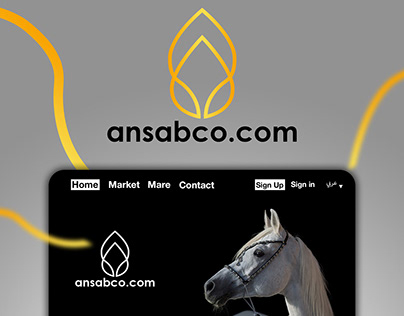 Ansabco Website Design