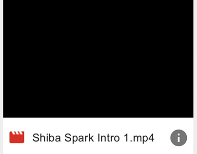 Shiba spark intro