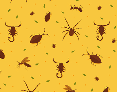 Bugs illustrations