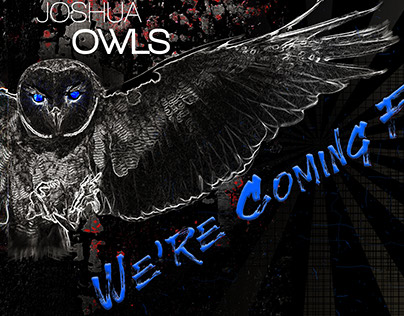 Joshua Owls