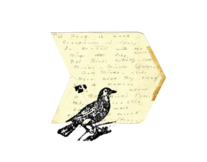 Dickinson's Birds: A Public Listening Project