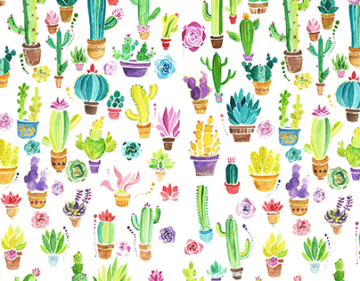 Colorful Cactuses