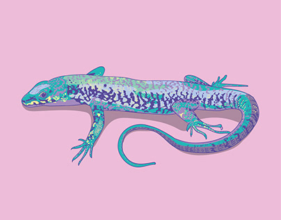 Lizard Love (and more wildlife illustrations)