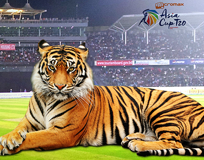 Facebook Cover for All Bangladeshi Cricket fan