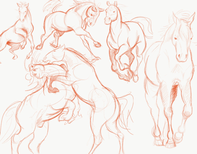 Horse life drawings