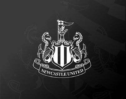 Newcastle visual identity