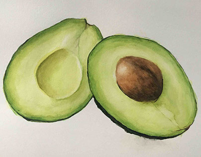 Avocado Watercolor