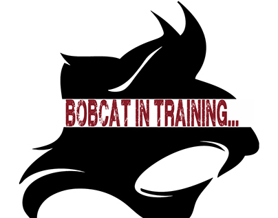 Bobcat in training