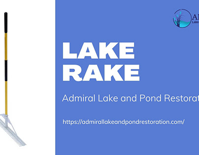 Do You Want to Buy Lake Rake?