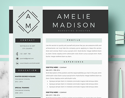 Professional resume template for MS Word and Mac Pages
