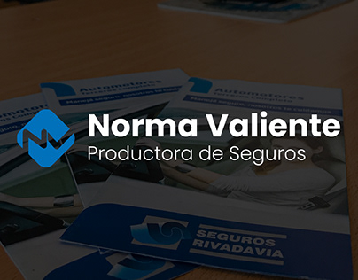 Project thumbnail - Norma Valiente Seguros - Social Media