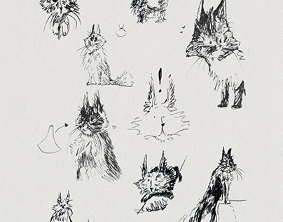 Cat concept sketches
