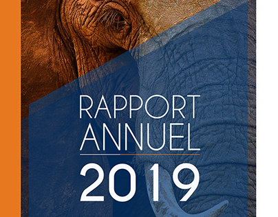 MAGAZINE: RAPPORT ANNUEL 2019