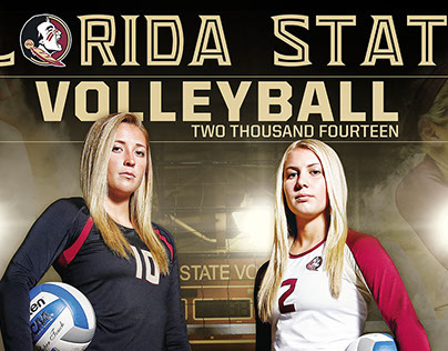 2014 Florida State Volleyball Poster