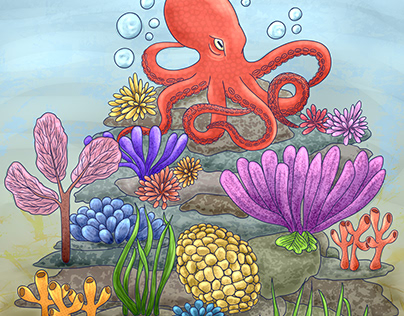 Octopus and reefs