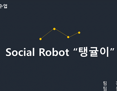HCI | Social Robot Project