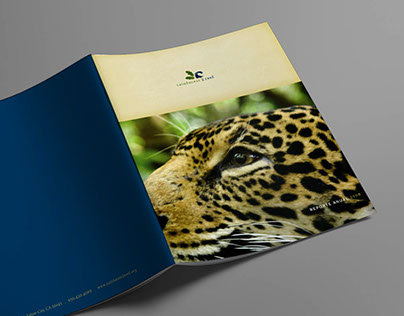 Brochure - Rainforest 2 Reef