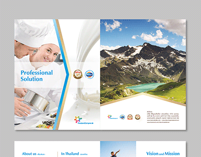 Foremost & falcon - Professional Solution Book