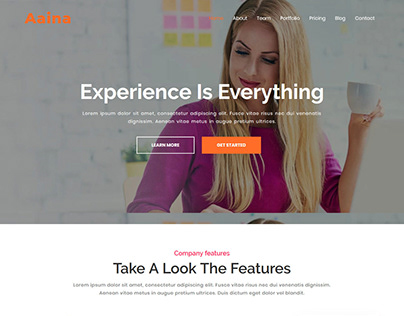 Aaina - One Page Parallax WordPress Theme