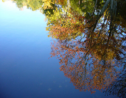 Autumn’s Watery Reflection