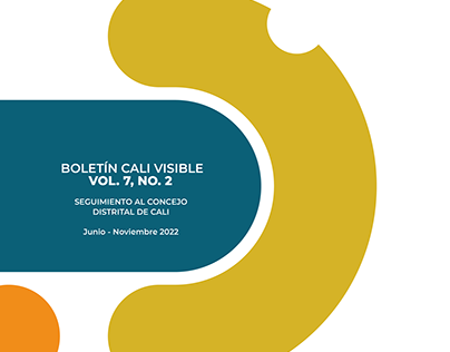 BOLETÍN CALI VSIBLE / UNIVERSIDAD JAVERIANA CALI