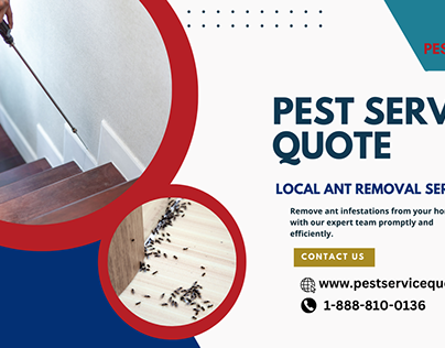 Local Ant Removal Services | Pest Service Quote