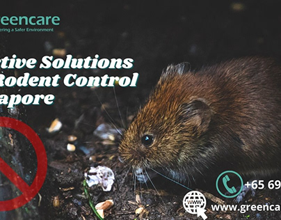 Effective Solutions For Rodent Control Singapore