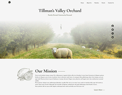 CONCEPT - Tillman's Valley Orchard Website