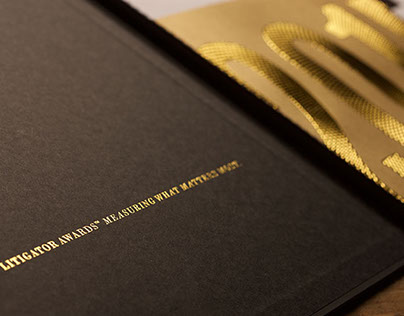 The Litigator Award Nomination Kit