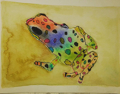“Rainbow Little Frog”