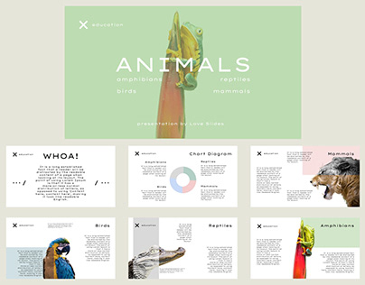 Free Education Animal Google Slides Presentation