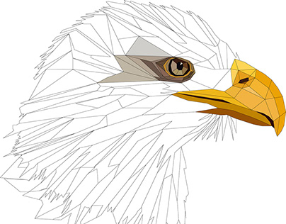 Eagle Outlines and Colouring