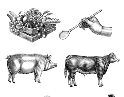 Illustration for food logo product