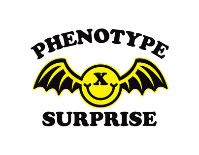 Phenotype: Stage X