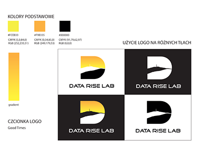 Logo Data Rise Lab