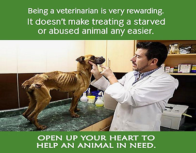 Saving Abused Animals3