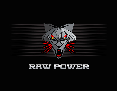 Raw Power project