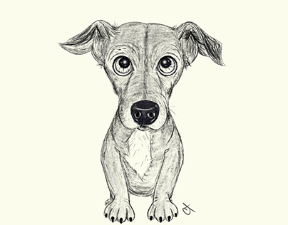 Dog Illustrations