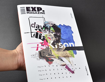 EXP.mag David Carson
